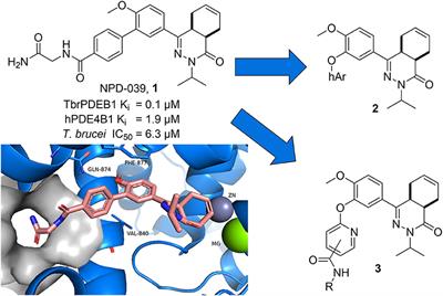 Discovery of Diaryl Ether Substituted Tetrahydrophthalazinones as TbrPDEB1 Inhibitors Following Structure-Based Virtual Screening